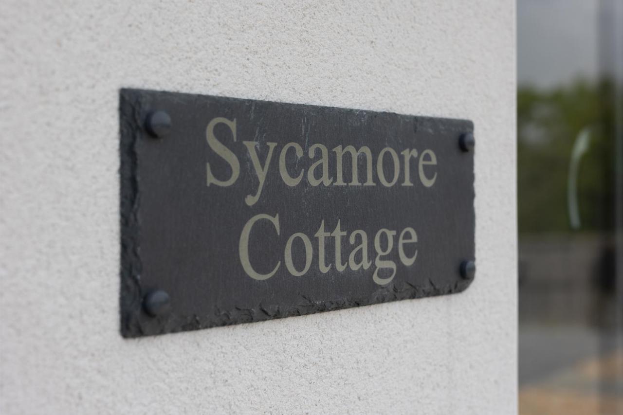 Sycamore Cottage Тенбі Екстер'єр фото